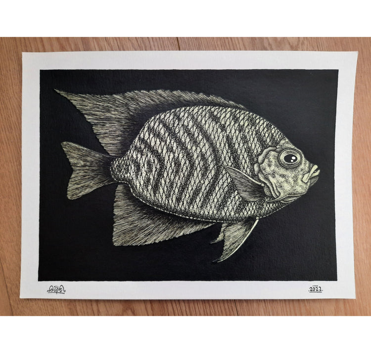 SOPE - Original "Fisch Nr. 19"