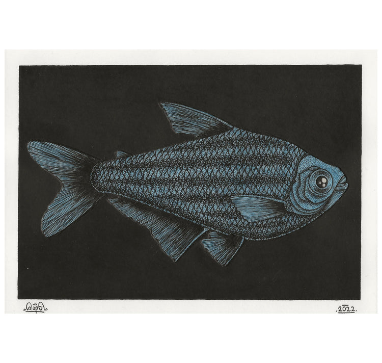 SOPE - Original "Fisch Nr. 7"