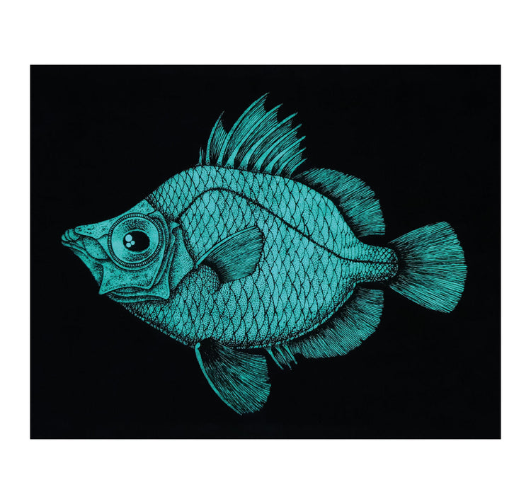 SOPE - Original "Fisch Nr. 6"