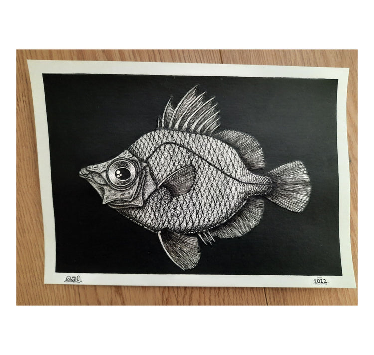 SOPE - Original "Fisch Nr. 6"