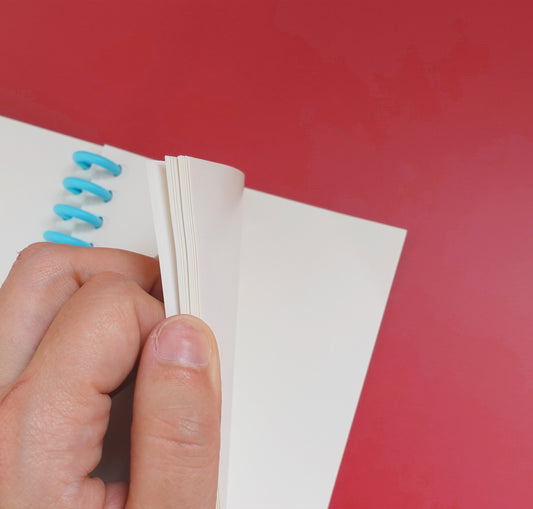 Laura LOW - Sticker Album "Working Cat"