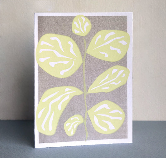 Studio Bitzi - Set de cartes postales Riso "Boum"