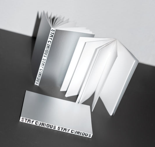 Studio Bitzi - Notizbuch „stay curious“