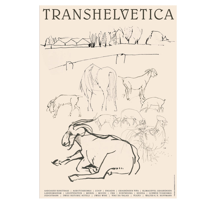 Transhelvetica - Poster "Cortile"