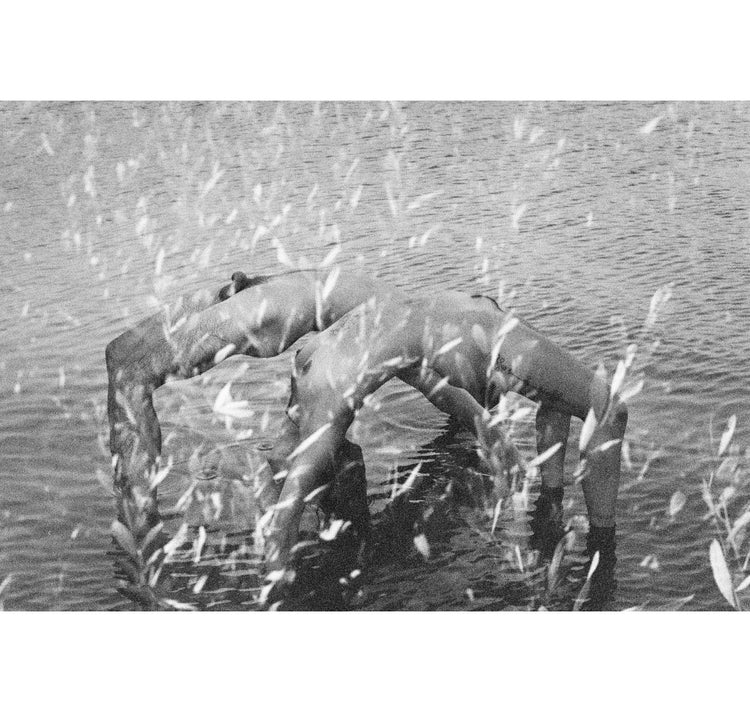 Joséphine Weber - Affiche "La Selva"