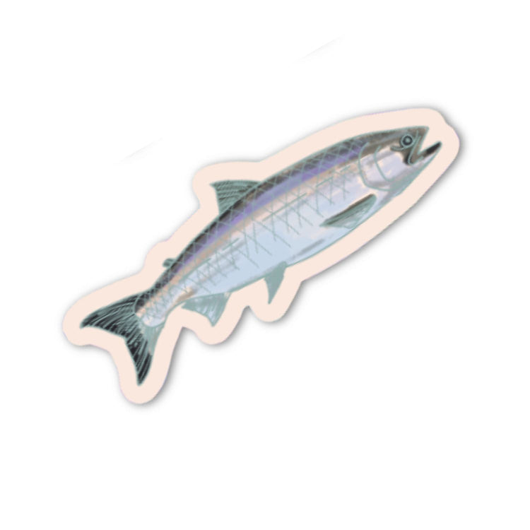 Tania Bisaz - Stickerset "Shiny Trout" (3 Stk.)