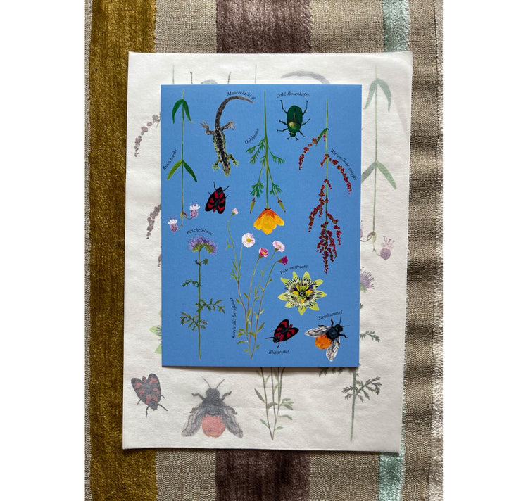 Valerie Lipscher - Serie di tatuaggi temporanei Swiss Garden "Nucleo Vairano"