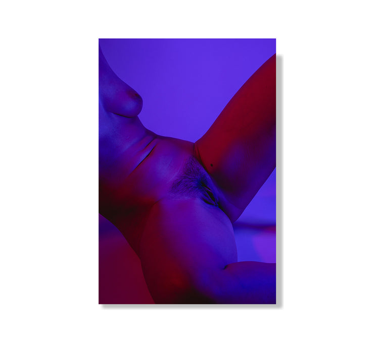 Josephine Weber - Postkarte "Viva La Vula 2"