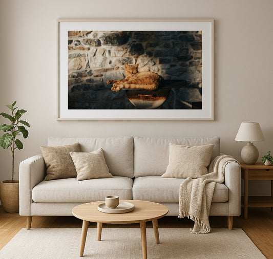 worldofdave x Hotel Goldener Stern – Plakat "Cat On A Grill"