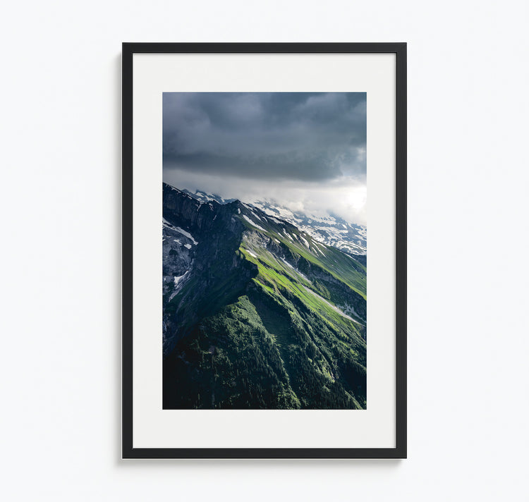 worldofdave x Hotel Goldener Stern – Plakat "Laub"