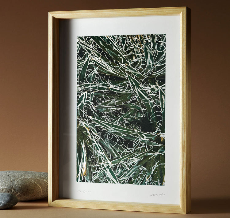 Bienvenue Studios - Plakat "Quiet Water N° 3"