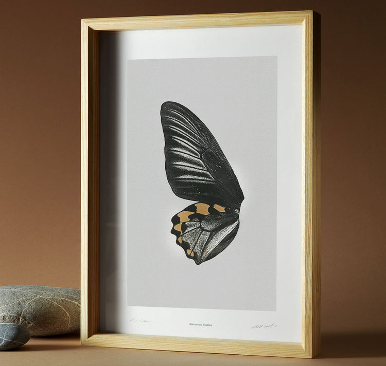 Bienvenue Studios - Plakat "Sun Fluttering N° 1"