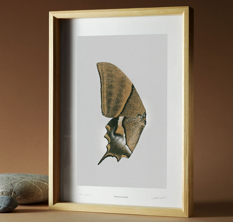 Bienvenue Studios - Plakat "Sun Fluttering N° 3"