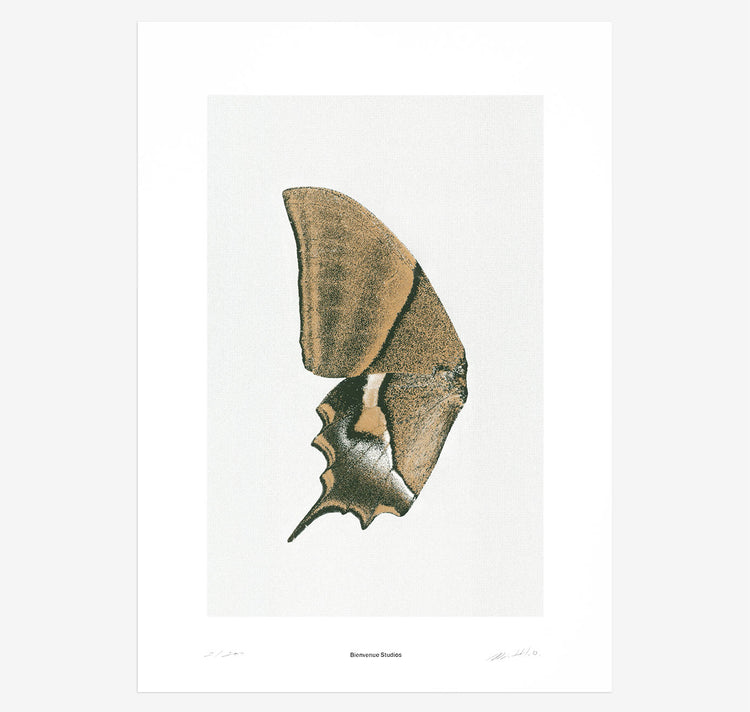 Bienvenue Studios - Plakat "Sun Fluttering N° 3"