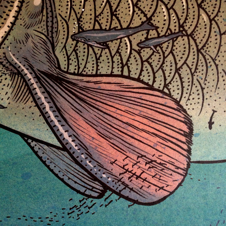 Jared Muralt - Plakat "Sindbad Fish City"