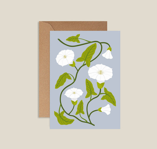 Lisa Voisard - Postkarte "Ackerwinde"