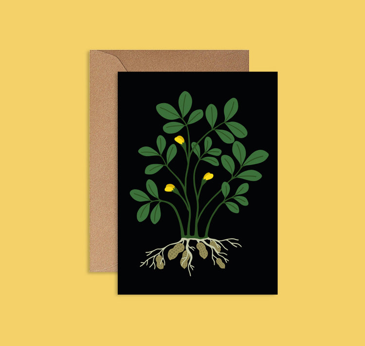 Lisa Voisard - Postkarte "Cacahuete"