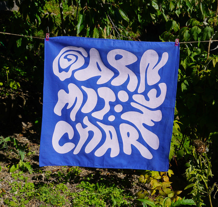 Garn mit Charme - Foulard (blau/weiss)