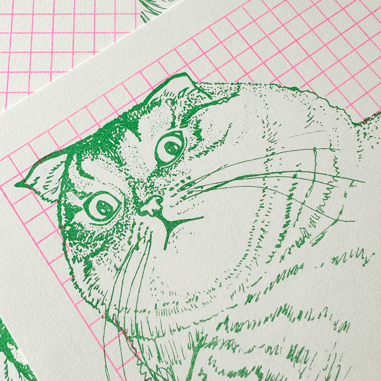 Judith Hirsch - Poster "Carlo Cat"