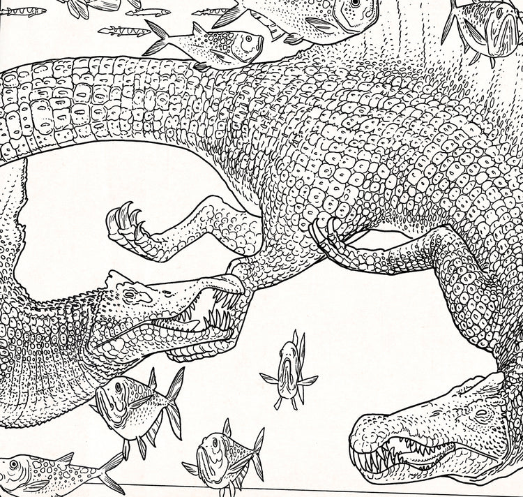 Jared Muralt - Ausmalbuch "Dinosaurier"