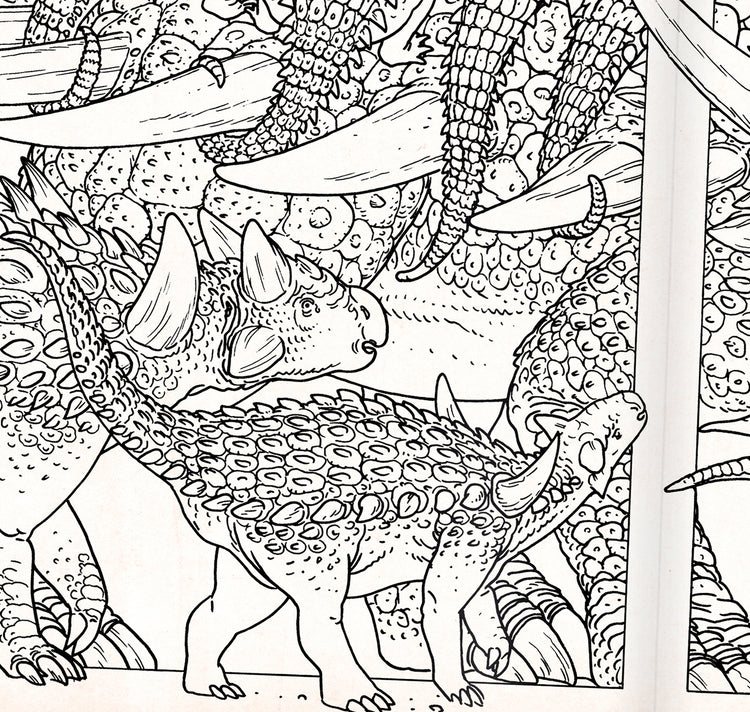 Jared Muralt - Ausmalbuch "Dinosaurier"