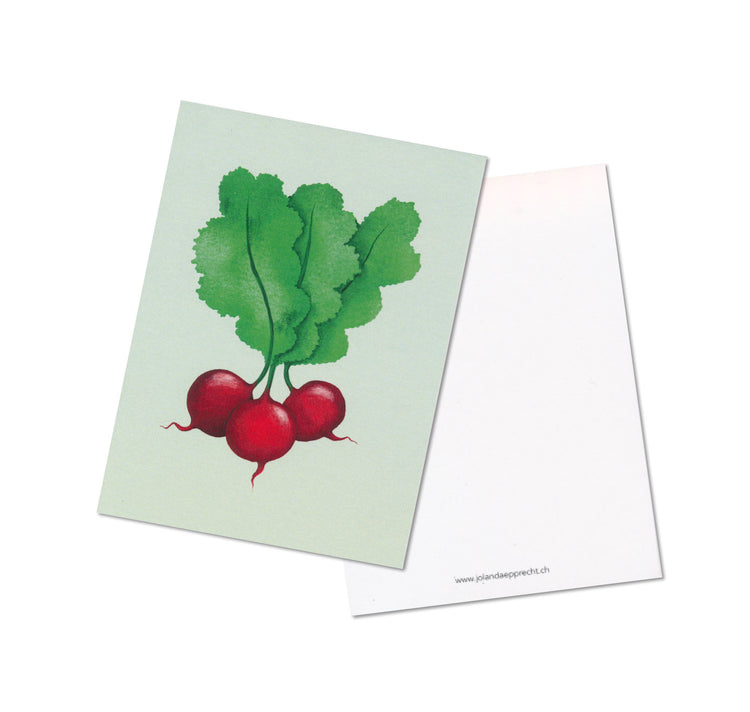 Jolanda Epprecht - Set di due cartoline “Radiesli & Leek”