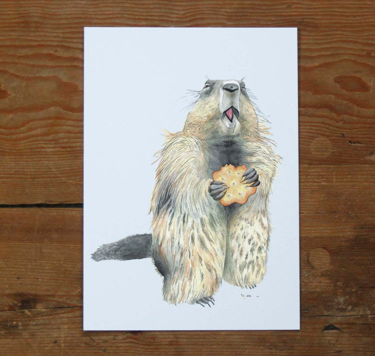 jolanda.works - Biglietto "Marmotta con biscotti"