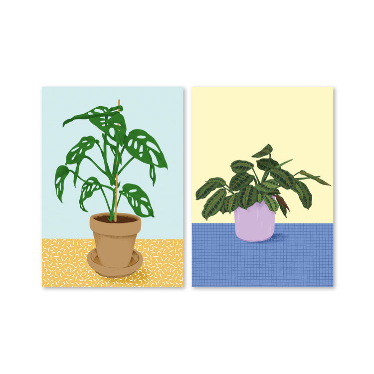 Jolanda Epprecht - Set di cartoline "Piante da appartamento III"