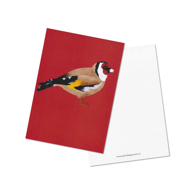 Jolanda Epprecht - Geschenkset "Vögel"