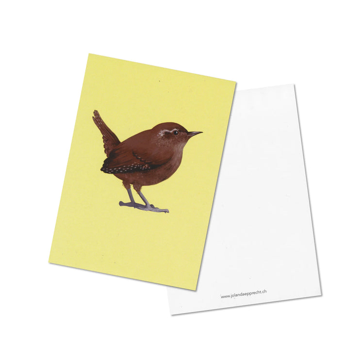 Jolanda Epprecht - Geschenkset "Vögel"