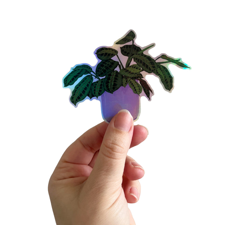 Jolanda Epprecht - Adesivo olografico "Maranta Leuconeura"