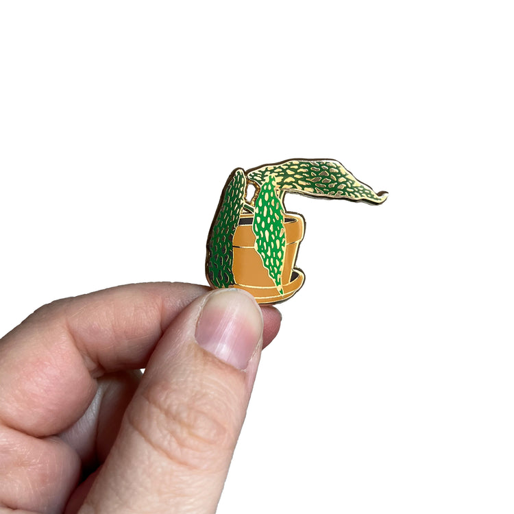 Jolanda Epprecht - Pin "Forellenbegonie"