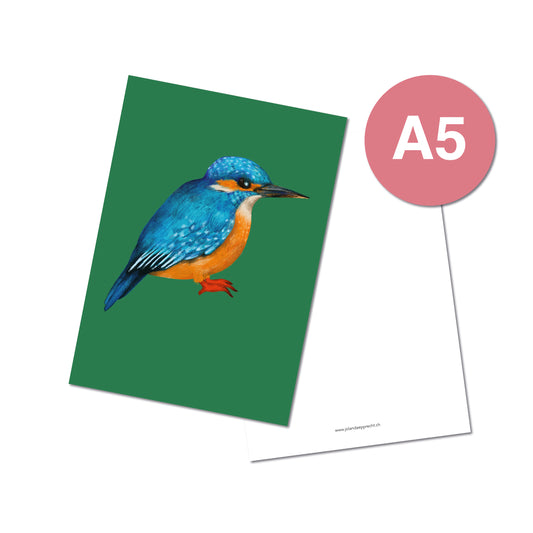 Jolanda Epprecht - Postkarte Extragross "Eisvogel"