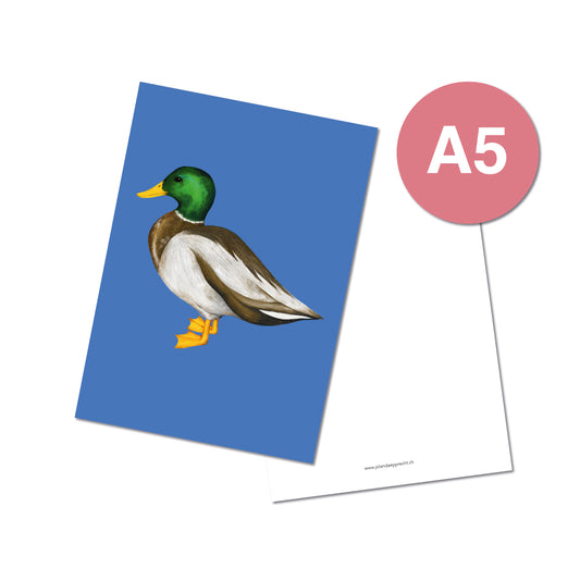 Jolanda Epprecht - Postkarte Extragross "Ente"