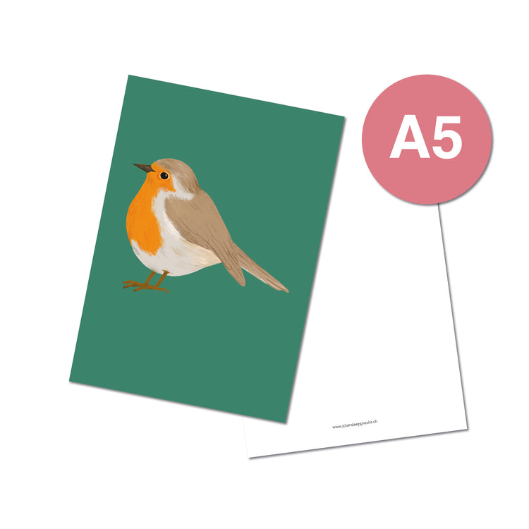 Jolanda Epprecht - Postkarte Extragross "Rotkehlchen"