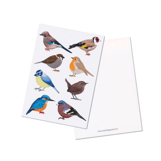 Jolanda Epprecht - Postkarte "Vögel"
