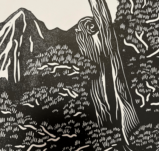 manifesto opaco "Moosalp"