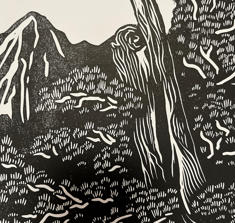 manifesto opaco "Moosalp"