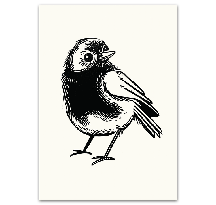 opak - Plakat "robin"
