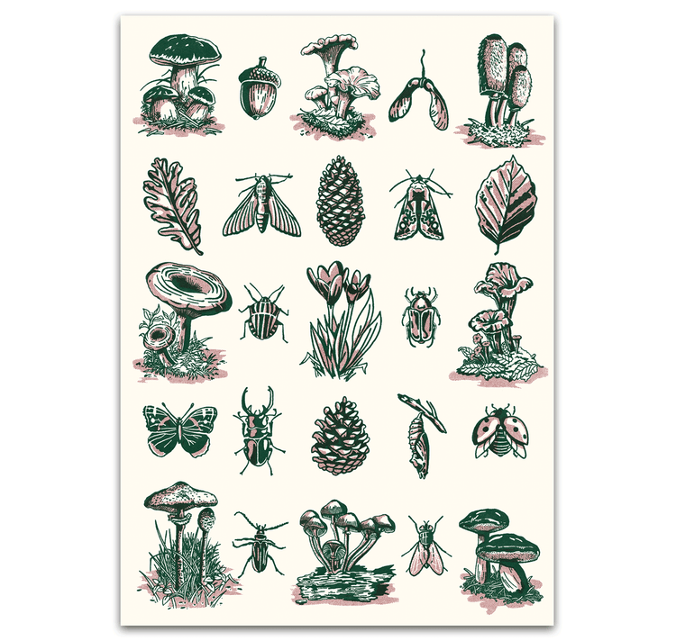 opak - Plakat "funghi"