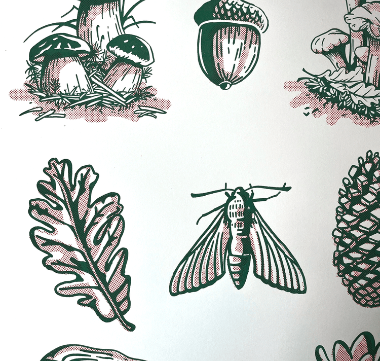 opak - Plakat "funghi"