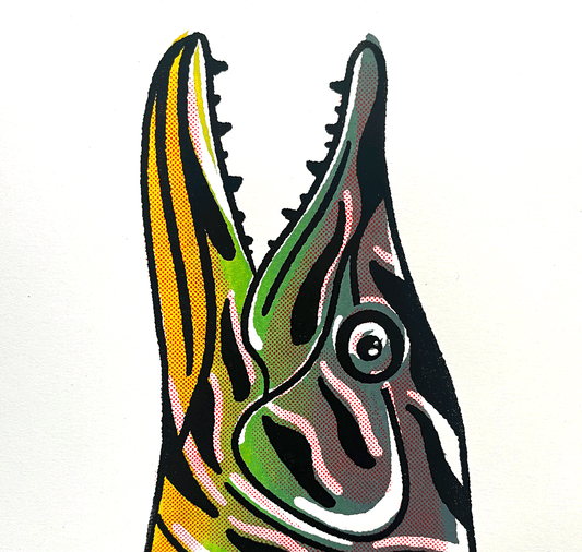 opak - Plakat "hecht"