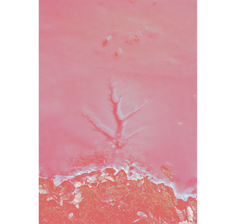 Gelavena x Andràs Voltai - locandina