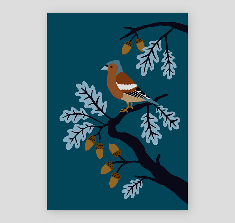 Lisa Voisard - Plakat "Buchfink"