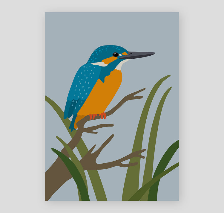 Lisa Voisard - Plakat "Eisvogel"