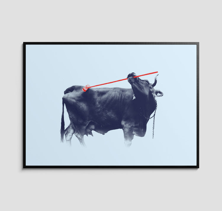 Kaspar Allenbach - Plakat "Kuh auf der Wiese"