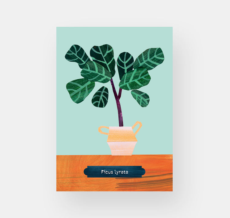 Takelwerk - Postkartenset "Zimmerpflanzen"