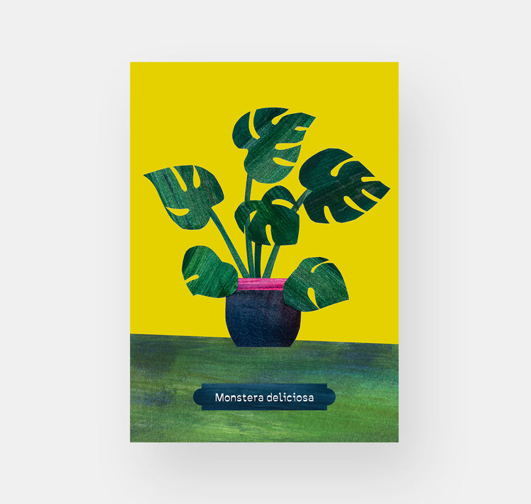 Takelwerk - Postkartenset "Zimmerpflanzen"