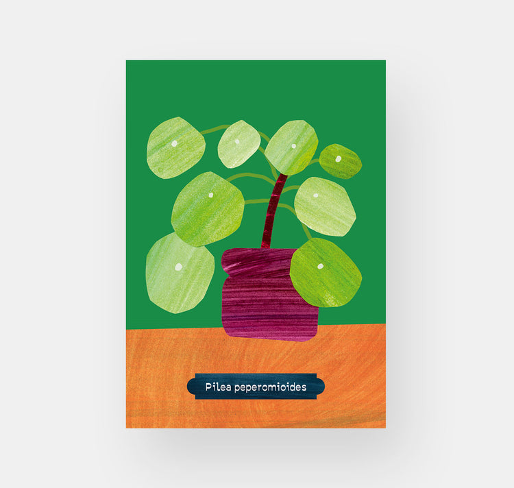 Takelwerk - Postkartenset "Zimmerpflanzen"