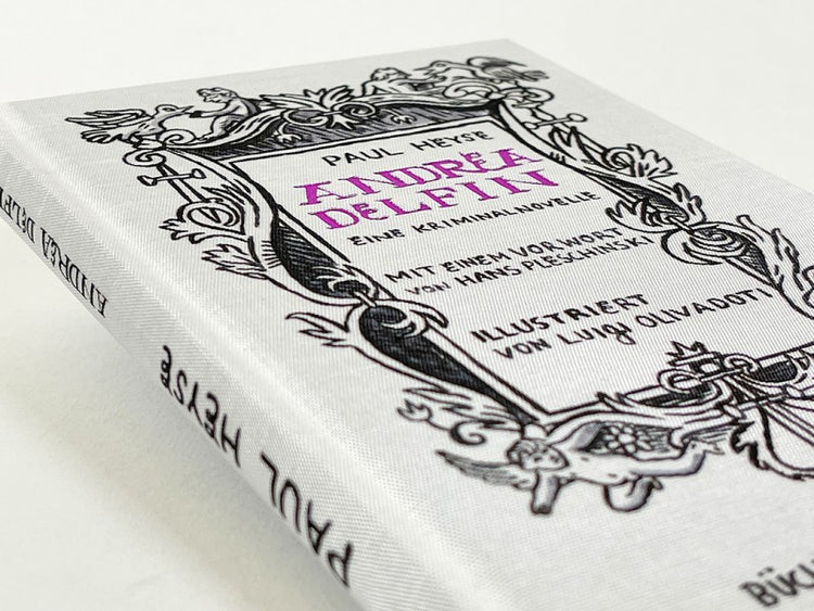 Luigi Olivadoti - Libro "Andrea Delfin!"